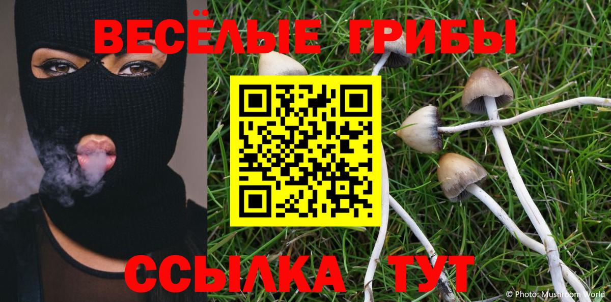 Галлюциногенные грибы Cubensis Гагарин